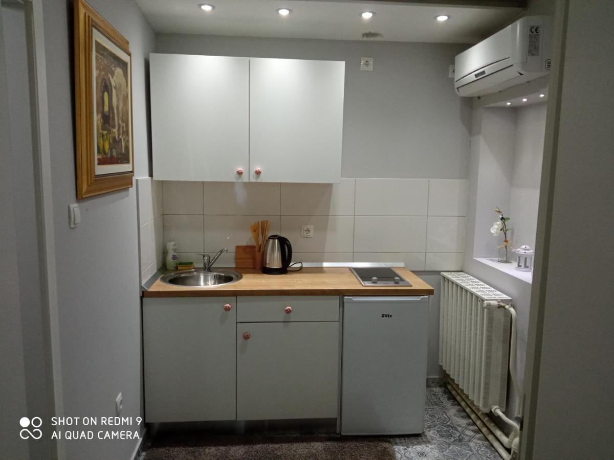 Villa Lucia - Apartments&Rooms Slavonski Brod Buitenkant foto