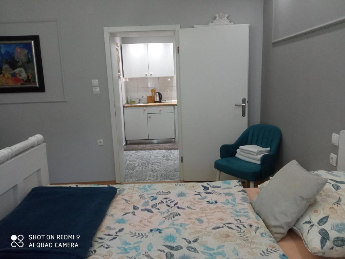 Villa Lucia - Apartments&Rooms Slavonski Brod Buitenkant foto