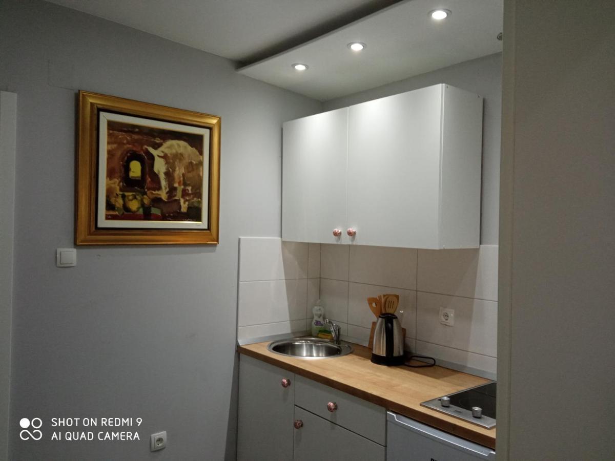 Villa Lucia - Apartments&Rooms Slavonski Brod Buitenkant foto
