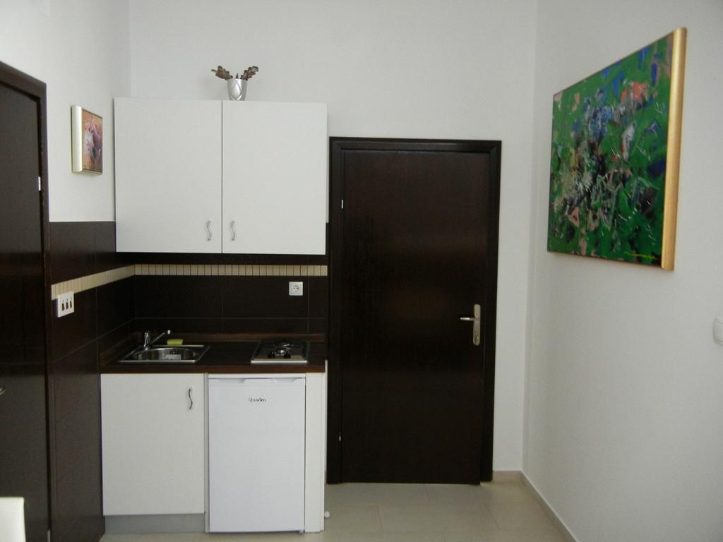 Villa Lucia - Apartments&Rooms Slavonski Brod Buitenkant foto