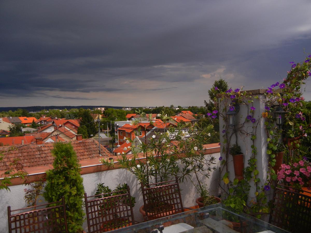 Villa Lucia - Apartments&Rooms Slavonski Brod Buitenkant foto